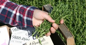 Producteur bio en Provence