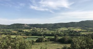 Producteur bio en Provence