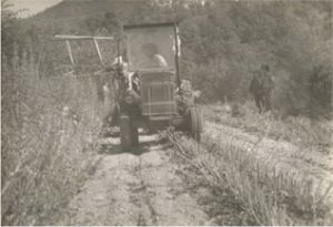 Les herbes de Provence sont à l'honneur par Patrice Truc producteur plantes aromatiques bio