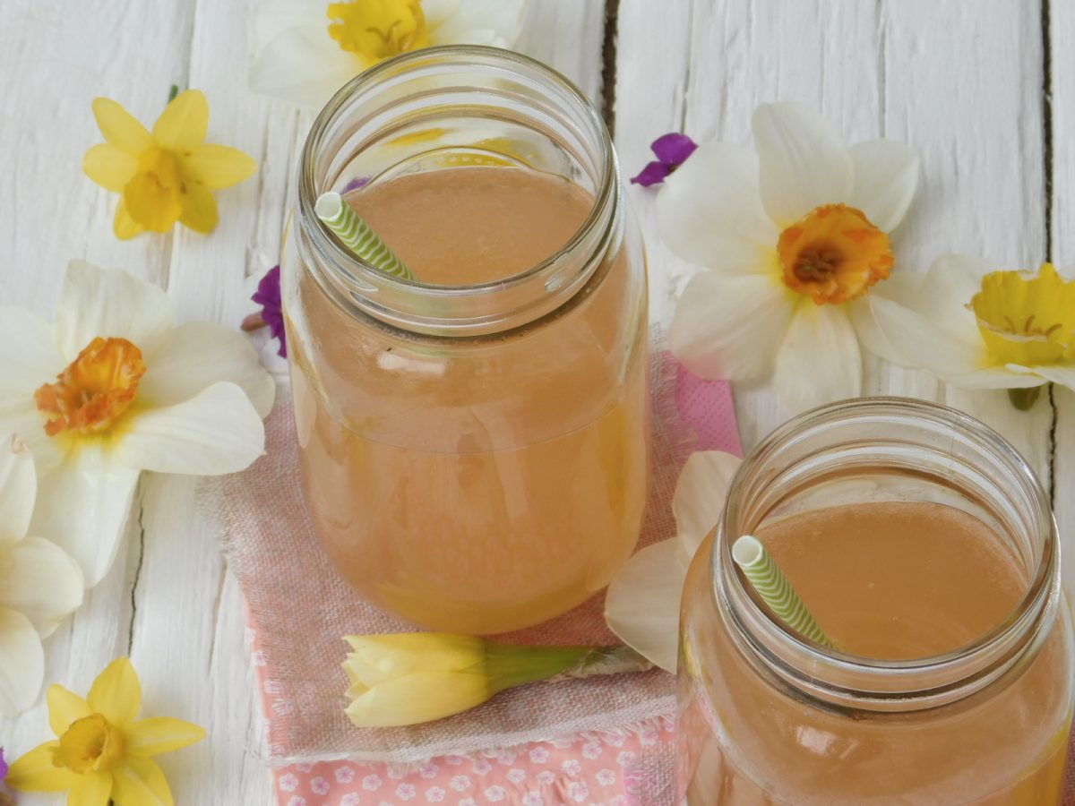 Recette limonade romarin pamplemousse pomme