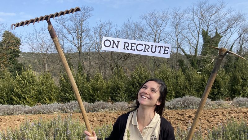 Emploi assistant entretien des plantations herbes de Provence bio Truc & Co