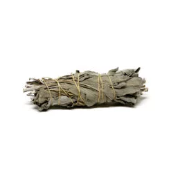 Bâton sauge blanche bio